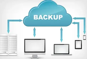 Duplicacy: Self-Hosting Made Simple